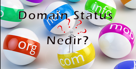 Domain Status Nedir?