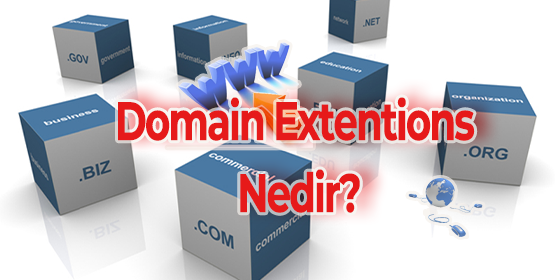 Domain Extensions Nedir?