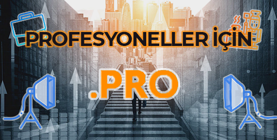 PROFESYONELLER İÇİN .PRO!