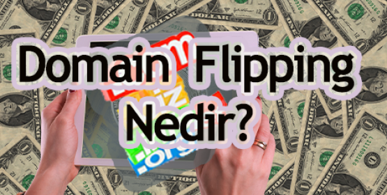 Domain Flipping Nedir?