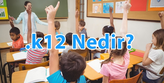 K12 Nedir? K12 Domainine Kimler İhtiyaç Duyar?