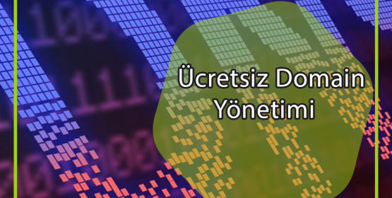 Ücretsiz Domain Yönetimi