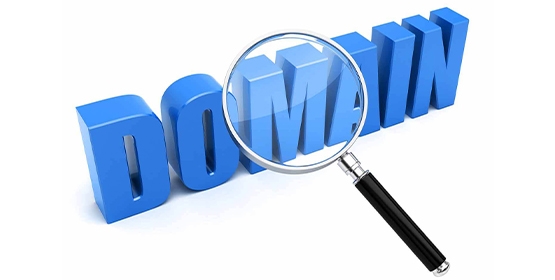 Domain Search Nedir?