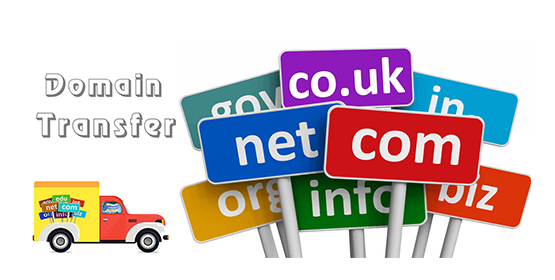 Domain Transferi Nedir?