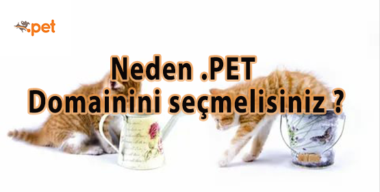 Neden .PET Domainini seçmelisiniz?